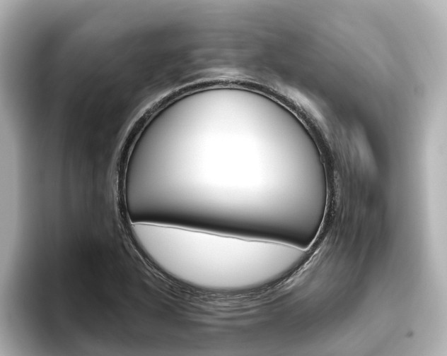 X0000096471318200801241130