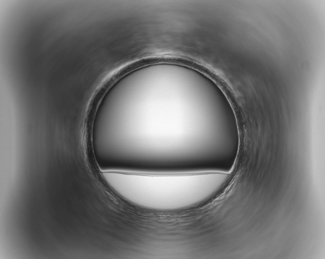 X0000096471319200801241130