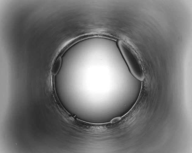X0000096471320200801241130
