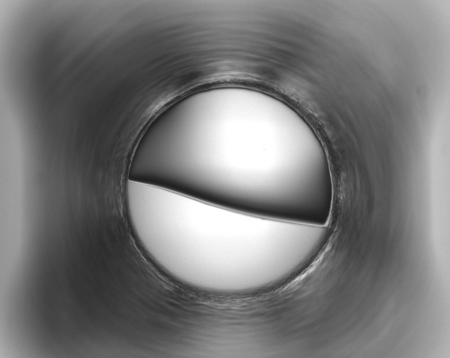 X0000096471321200801241130