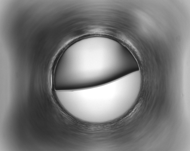 X0000096471323200801241130