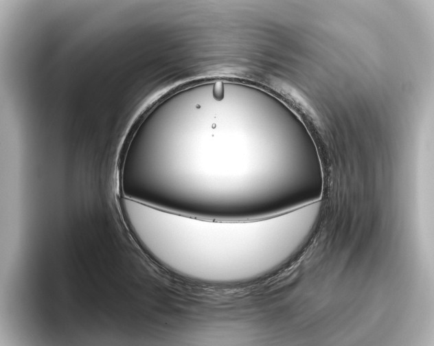 X0000096471324200801241130
