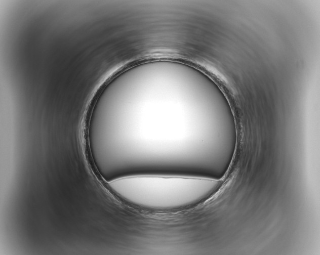 X0000096471325200801241130