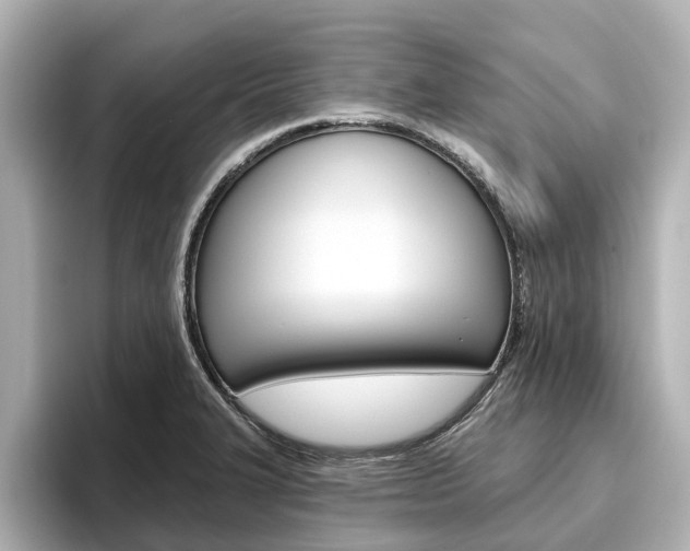 X0000096471327200801241130