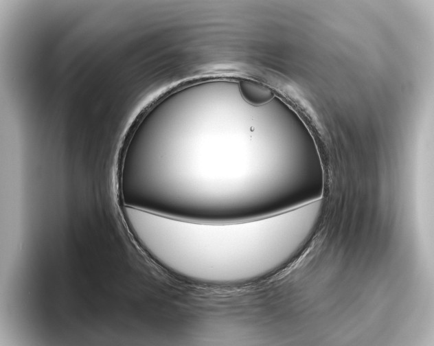 X0000096471328200801241130