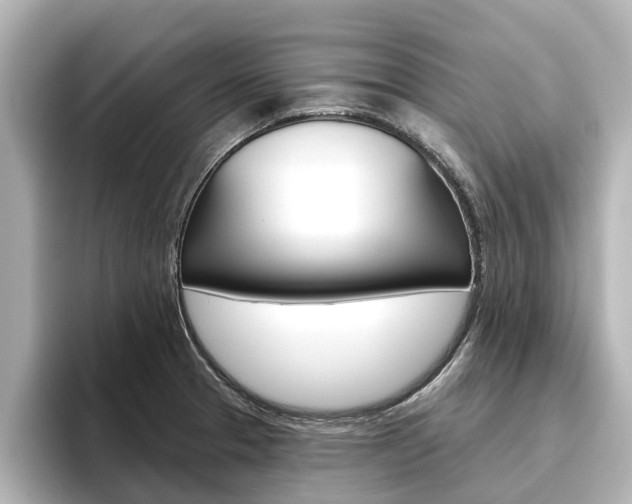 X0000096471329200801241130