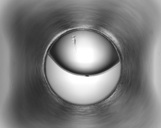 X0000096471332200801241130
