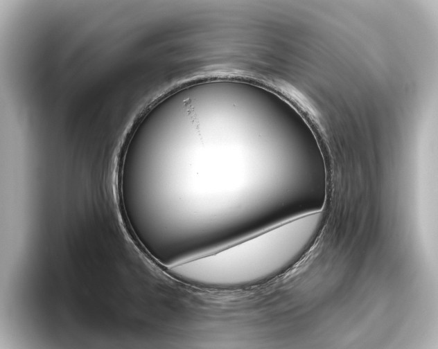 X0000096471334200801241130