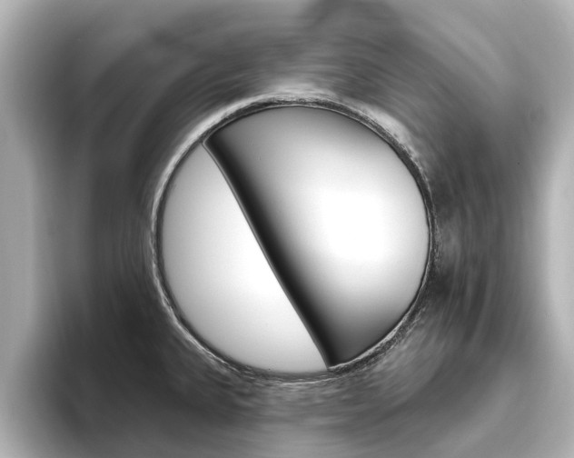 X0000096471335200801241130