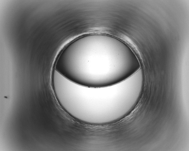 X0000096471336200801241130