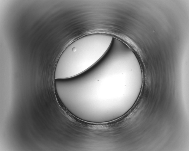 X0000096471337200801241130