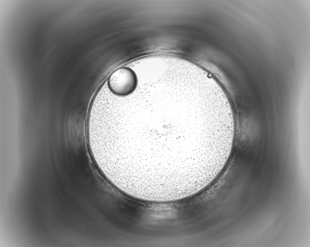 X0000096471338200801241130
