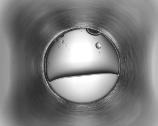 X0000096471339200801241130