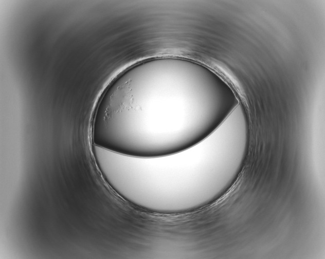 X0000096471340200801241130