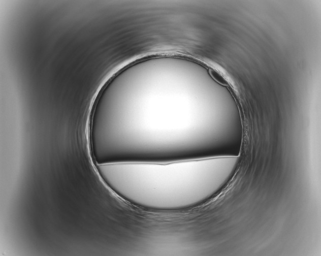 X0000096471343200801241130