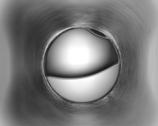 X0000096471344200801241130