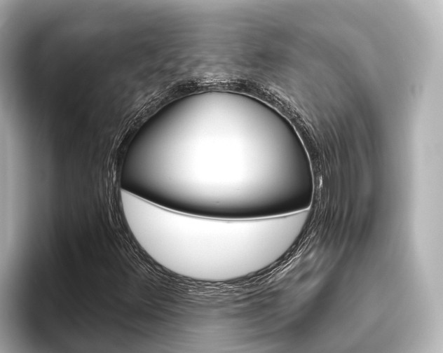X0000096471348200801241130