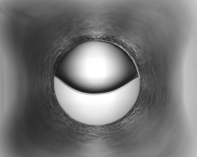 X0000096471349200801241130