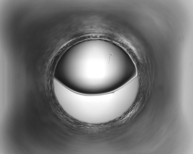 X0000096471352200801241130