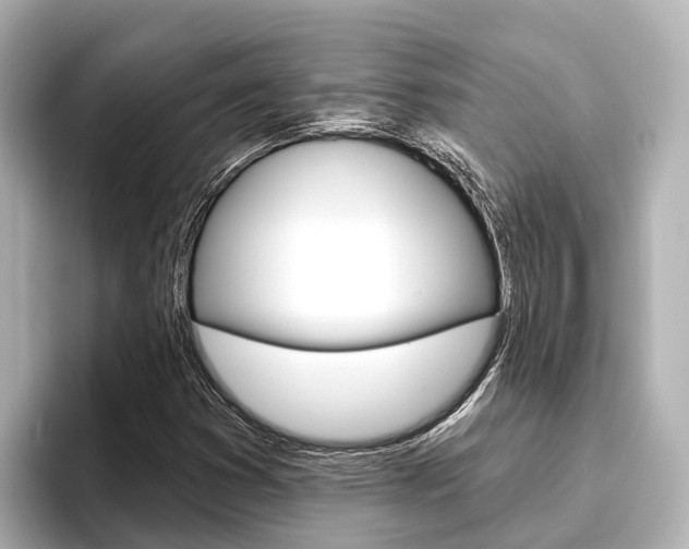 X0000096471353200801241130
