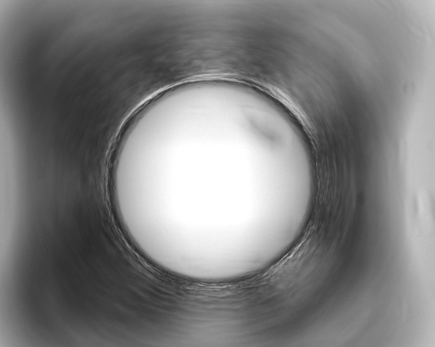 X0000096471356200801241130