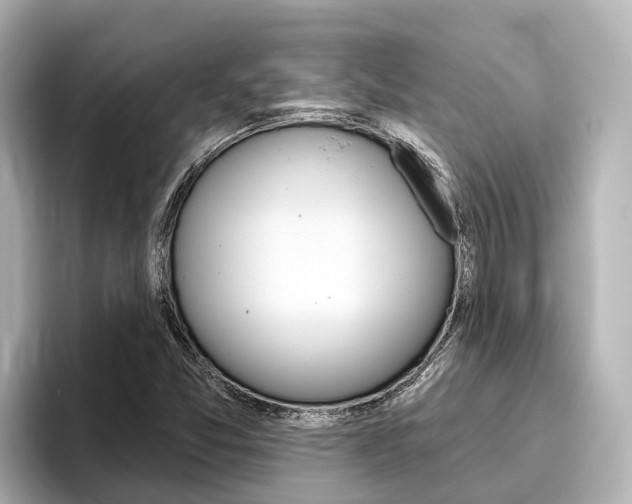 X0000096471357200801241130