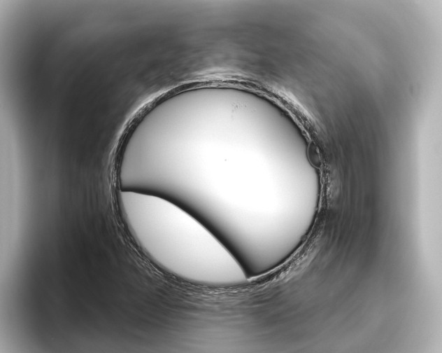 X0000096471358200801241130