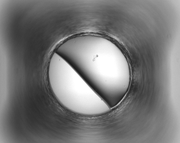 X0000096471359200801241130