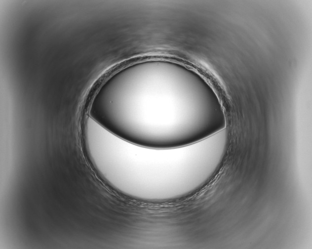 X0000096471360200801241129