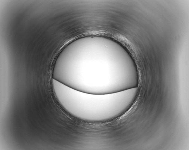 X0000096471361200801241129