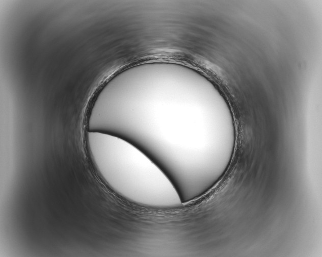 X0000096471362200801241129