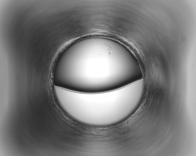 X0000096471363200801241129