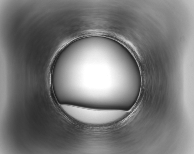 X0000096471365200801241129