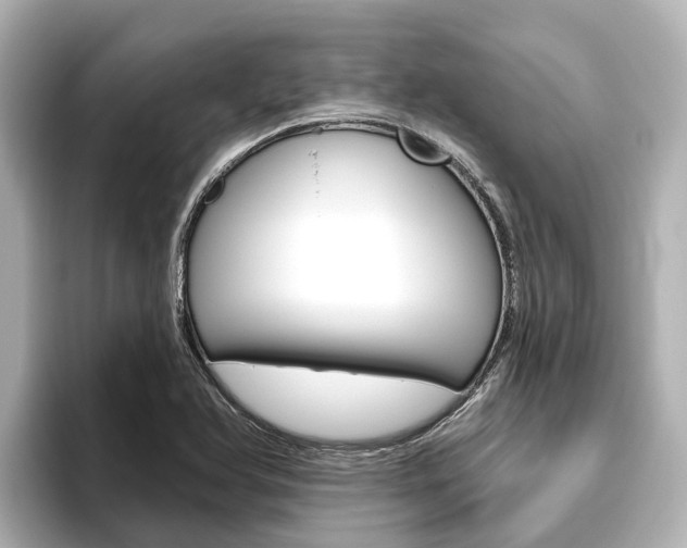 X0000096471366200801241129