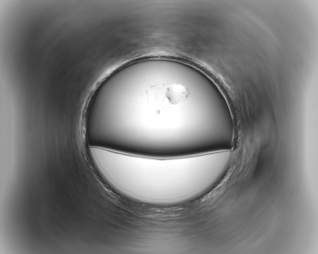 X0000096471367200801241129