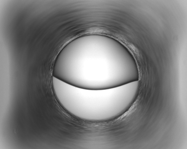 X0000096471369200801241129