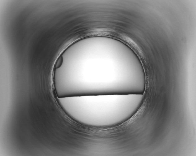 X0000096471370200801241129