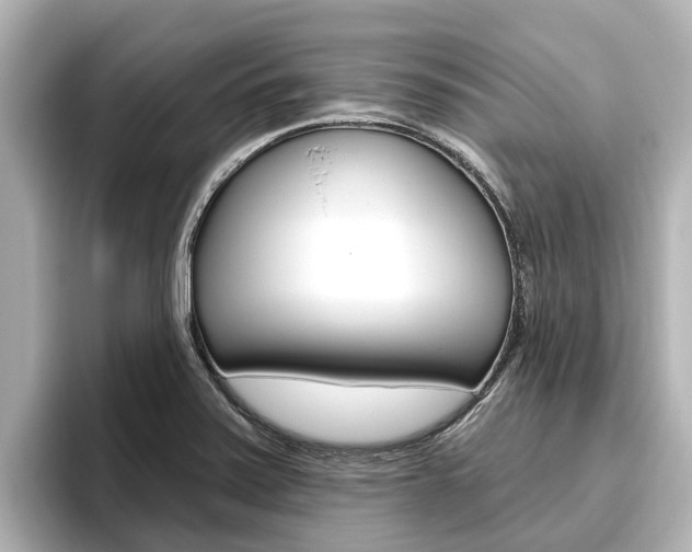 X0000096471371200801241129