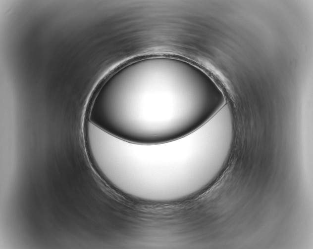 X0000096471372200801241129