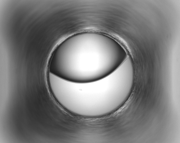 X0000096471373200801241129