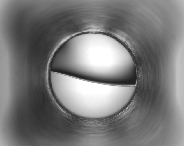 X0000096471375200801241129