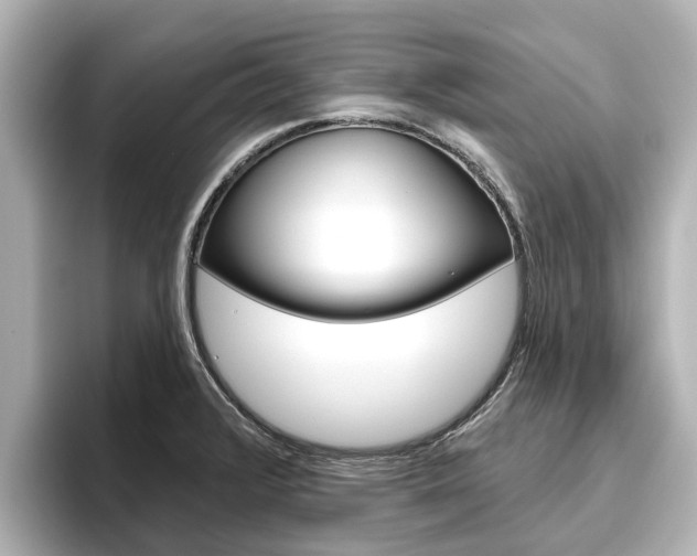 X0000096471376200801241129