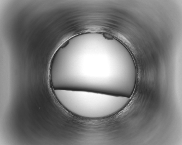 X0000096471378200801241129