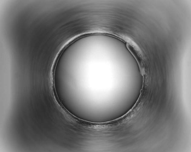 X0000096471380200801241129
