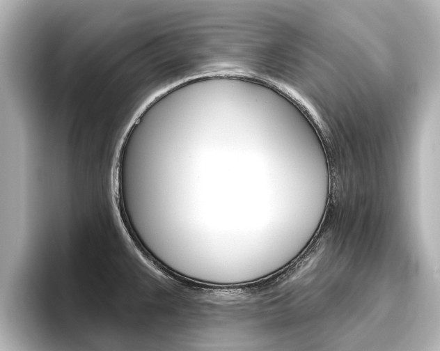 X0000096471383200801241129