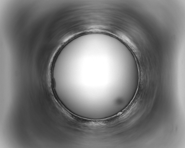 X0000096471384200801241129