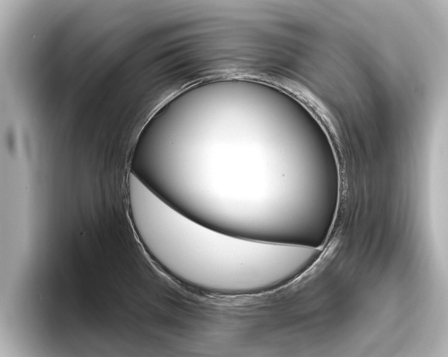 X0000096471385200801241129