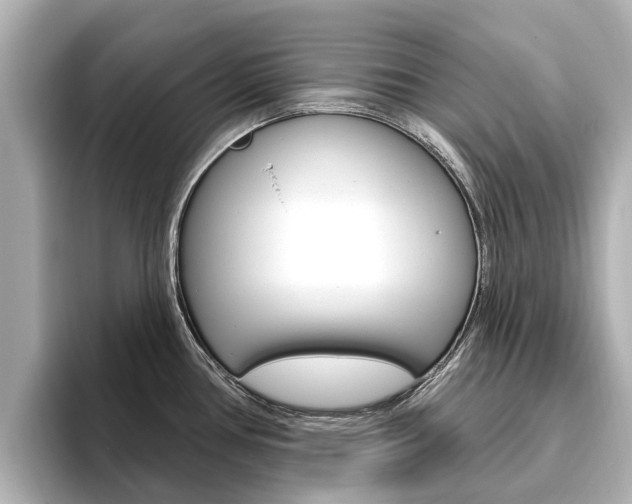 X0000096471386200801241129