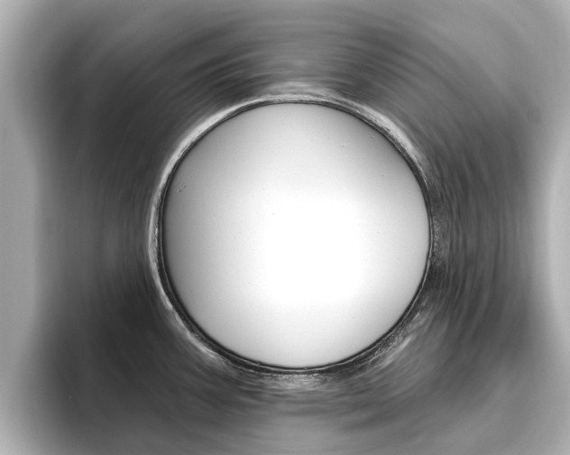 X0000096471387200801241129