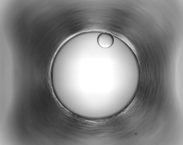X0000096471388200801241129
